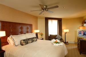 Elevation Hotel And Spa