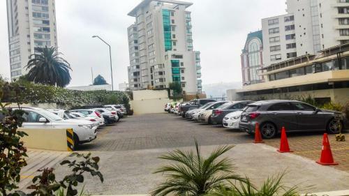 Apartamento Departamento Vi�a Del Mar Coraceros