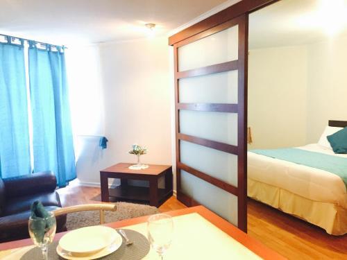 Infinity Apartments (santiago Centro)