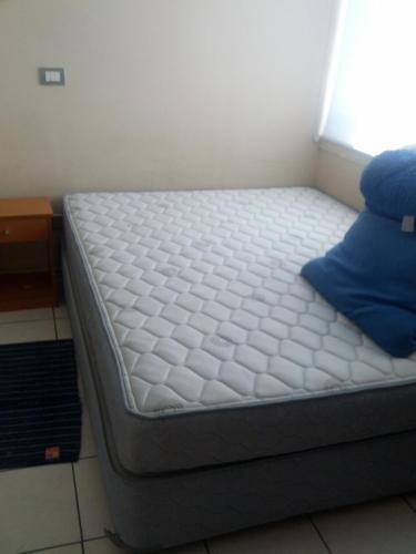 Coraceros Apartment