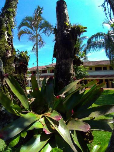 Hostal Pousada Recanto Itagua