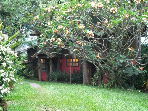 Warung Guest House