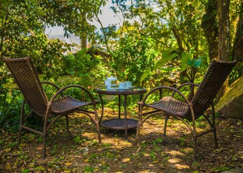 Warung Guest House