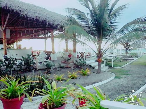 Hotel Boca Beach Resort Club