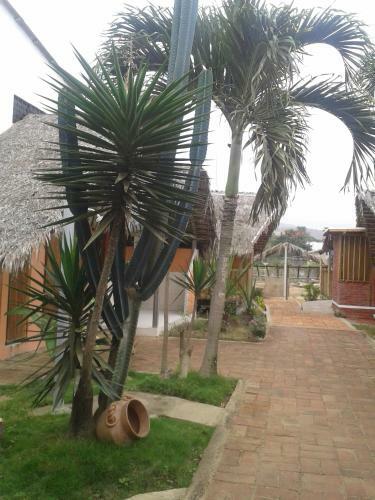 Posada Caba�as Playa Sur