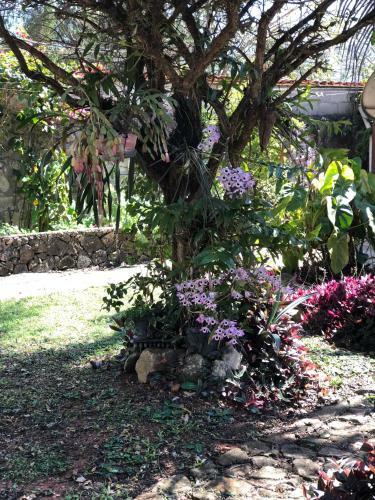 Hotel Pouso Realeza