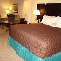 Hotel La Quinta Inn & Suites Palestine