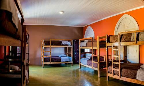 Wild Rover Hostel Arequipa