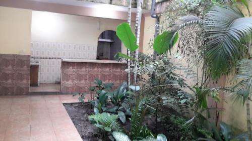 Hostal Las Amazonas Inn
