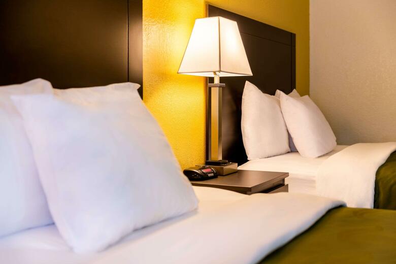 Hotel Quality Inn At Arlington Highlands
