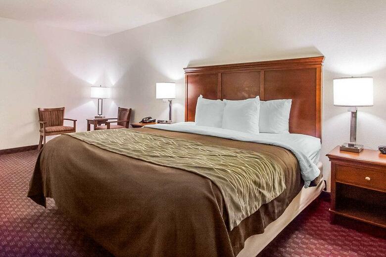 Hotel Comfort Inn Opryland Area