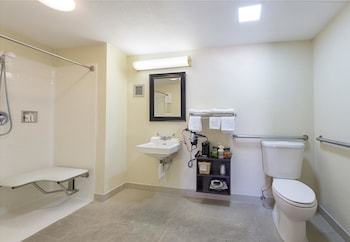 Hotel Quality Inn And Suites Addison