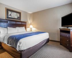 Hotel Comfort Suites
