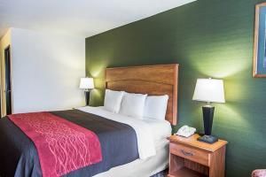 Hotel Comfort Inn & Suites