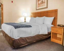 Hotel Comfort Suites