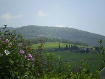 Bed & Breakfast Nido Del Merlo