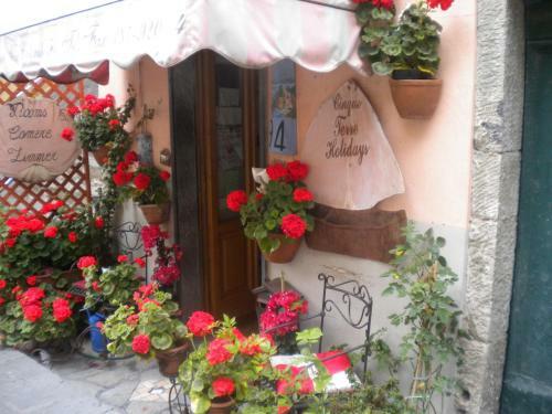 Bed & Breakfast Cinqueterre Holidays