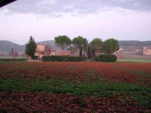 Bed & Breakfast Casale Il Colombaio Di Toiano