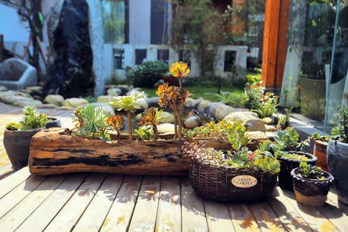 Posada Z.garden
