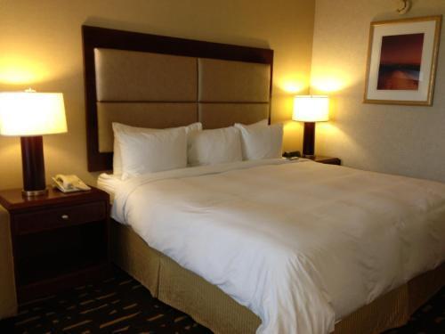 Radisson Hotel Chicago O'hare