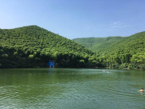 Bed & Breakfast Moganshan Bamboo View Guesthouse