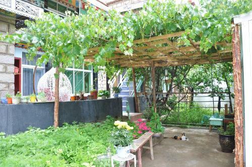 Bed & Breakfast Shicuo Guesthouse