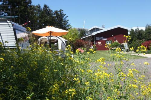 Hostal Basecamp Guesthouse