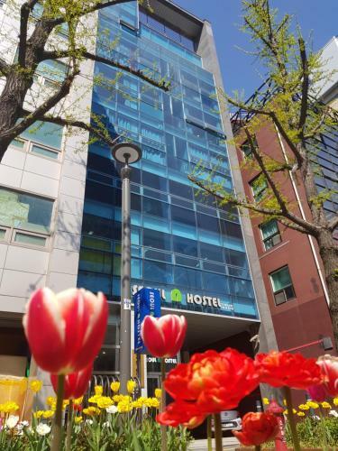 Dongdaemun Stay Hostel