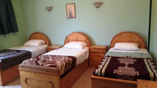 Hostal Senmut Luxor Hotel
