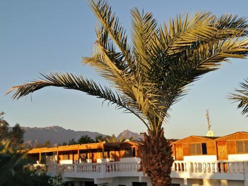 Seven Heaven Hotel Dahab