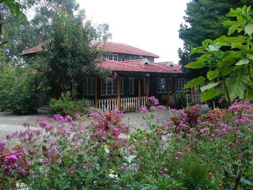 Hotel Lilly's Valley Resort