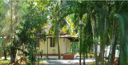 Bed & Breakfast Palm Grove Service Villa