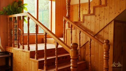 Bed & Breakfast Tlh Forest Way Cottage