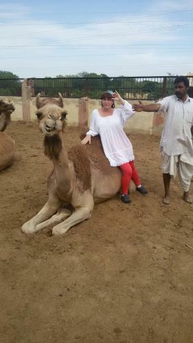 Rao Bika Ji Camel Safari