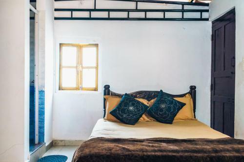 Caterpillar Hostel