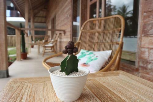 Bed & Breakfast Lazy Inn Kuta Lombok