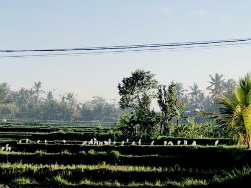 Villa Neyang