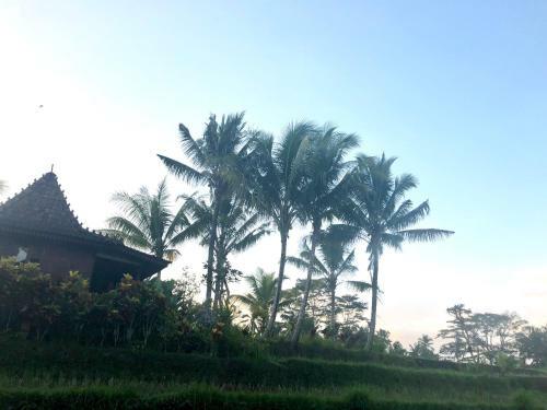 Villa Neyang