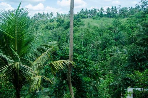 Hostal D'tepi Ubud House