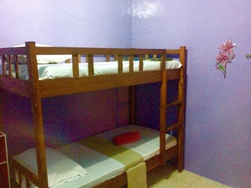 Hostal Wonderland Guesthouse