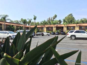 Hotel Comfort Inn Maingate - Anaheim
