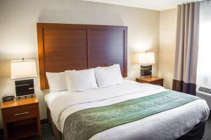 Hotel Comfort Suites