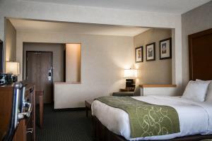 Hotel Comfort Suites