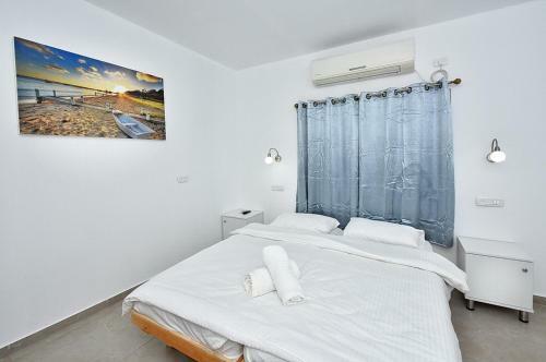 Villa Mansion Don Leone