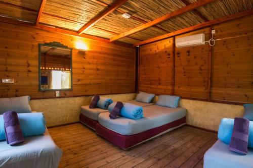 Albergue Shkedi's Camplodge