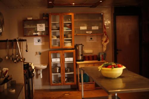 Albergue Shkedi's Camplodge