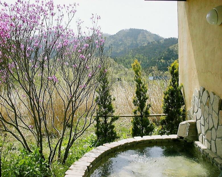 Posada Gasthof Ami