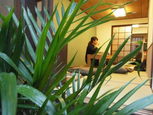 Oinai Guest House
