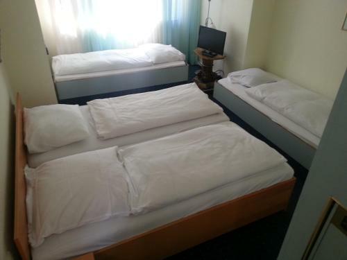 Hostal Hotelgarni Frankfurt
