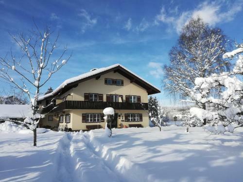 G�stehaus Scheil Apartments